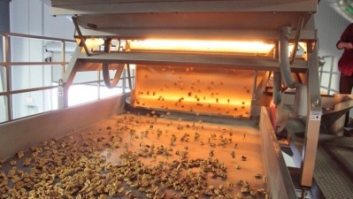 The Cayman BioPrint digital sorter from Key Technology is geared toward kicking defects and foreign matter from fruits and nuts.