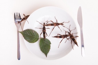 The future of edible insects rests on a third consumer group whose interest goes beyond novelty and even sustainability, says Invenire Market Intelligence 