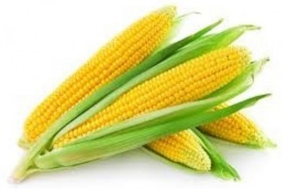 Z Trim helps food manufacturers replace chemical ingredients with corn fiber and other naturally derived materials.