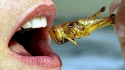 "There is a lack of cross-cultural research for understanding the similarities and differences in perceptions and acceptance of insects as food," say the researchers who compared Thai and Dutch attitudes towards eating insects