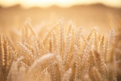 Triscuit fans are invited to follow the journey of the wheat used to make their favourite snacks, from field to bakery. Pic: GettyImages/Sasha Bell