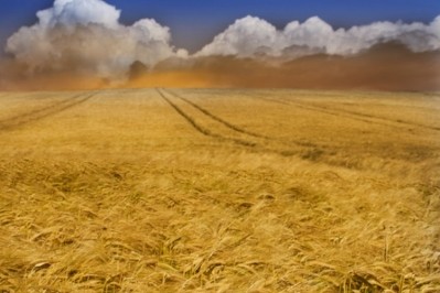 Russia has been accused of torching Ukraine grain amid the export block. Pic: GettyImages/LockieCurrie