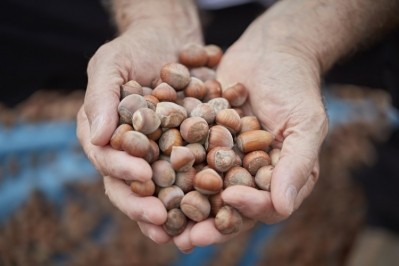 Consumers are increasingly opting for cashews and hazelnuts for their taste and perceived nutritional benefits, yet the farmers producing these nuts don’t always have the means to meet their own health and nutrition needs. Pic: ofi