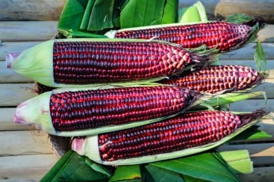 Purple corn is just one of more than a dozen ingredients now available online to producers in 50-pound quantities. Pic: ©GettyImages/Sarawutnam