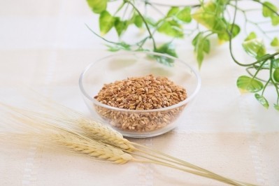 BARLEYmax has 15x the dietary fibre than conventional barley. Pic: Teijin Limited