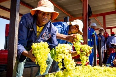 The South African raisin industry is also helping to tackle the country’s rising unemployment rate during the pandemic. Pic: Raisins South African