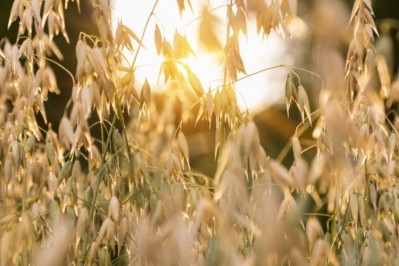 General Mills and ALUS are encouraging interested stakeholders to get involved in the regenerative agriculture farmer-led movement in Canada. Pic: GettyImages/Henglein and Steets