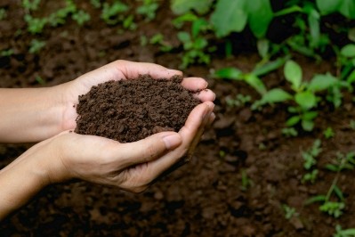 Four of Unilever's Regenerative Agriculture Principles focus on generating positive impacts on soils. GettyImages/Mintr