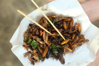 Edible insect industry faces uphill battle for compliance / Pic: GettyImages-Ulianna