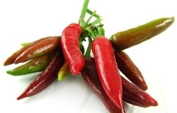 Non-Hispanic consumers want spicy, hot flavors, says Soto