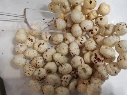The salt and pepper popped lotus seeds