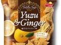 Yuzu & Ginger Tortilla Chips