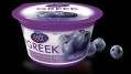 Dannon Light & Fit Greek, introduced in 2013, had sales of nearly $145m in its first year.