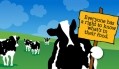 Ben & Jerry’s plans move beyond dairy 