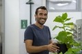 Pigmentum: Molecular farming... with lettuce