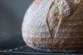 Today’s consumer is looking for authentic breads that also tick the sustainability box, opting to try a more diverse range of flours, and demanding an easier traceability of ingredients and production methods that don’t go overboard. Pic: HostMilano