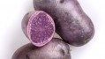 Purple potatoes may combat the effects of environmental pollutants